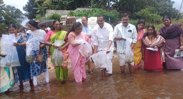പൊതുജലാശയങ്ങളിലെ മത്സ്യവിത്ത് നിക്ഷേപത്തിന്റെ ഉദ്ഘാടനം ആറന്മുള സത്രകടവില് നടന്നു പൊതുജലാശയങ്ങളിലെ മത്സ്യവിത്ത് നിക്ഷേപത്തിന്റെ ഉദ്ഘാടനം ആറന്മുള സത്രകടവില് നടന്നു