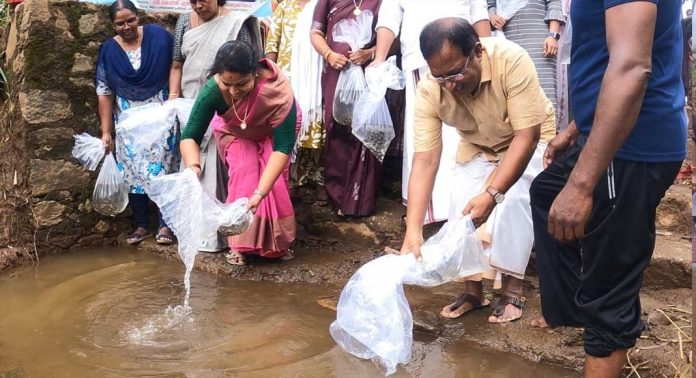 പൊതുജലാശയങ്ങളിലെ മത്സ്യവിത്ത് നിക്ഷേപത്തിന്റെ ഉദ്ഘാടനം കുറ്റൂര് തോണ്ടറകടവില് നടത്തി പൊതുജലാശയങ്ങളിലെ മത്സ്യവിത്ത് നിക്ഷേപത്തിന്റെ ഉദ്ഘാടനം കുറ്റൂര് തോണ്ടറകടവില് നടത്തി