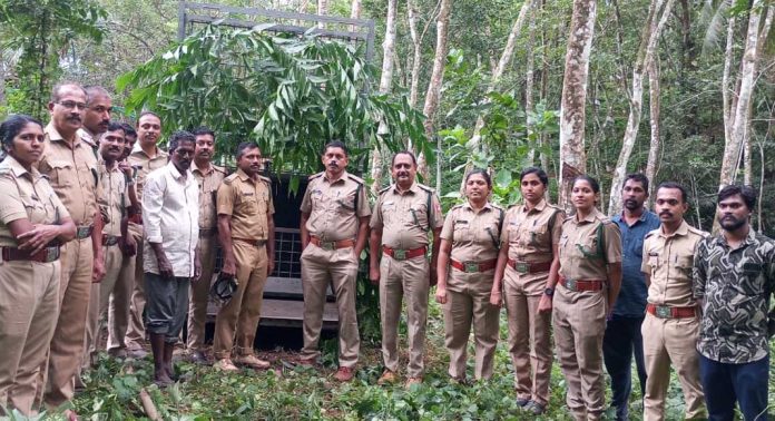 പൂമരുതിക്കുഴിയിൽ പുലിയെ കുടുക്കാൻ വനം വകുപ്പ് കൂട് സ്ഥാപിച്ചു പൂമരുതിക്കുഴിയിൽ പുലിയെ കുടുക്കാൻ വനം വകുപ്പ് കൂട് സ്ഥാപിച്ചു