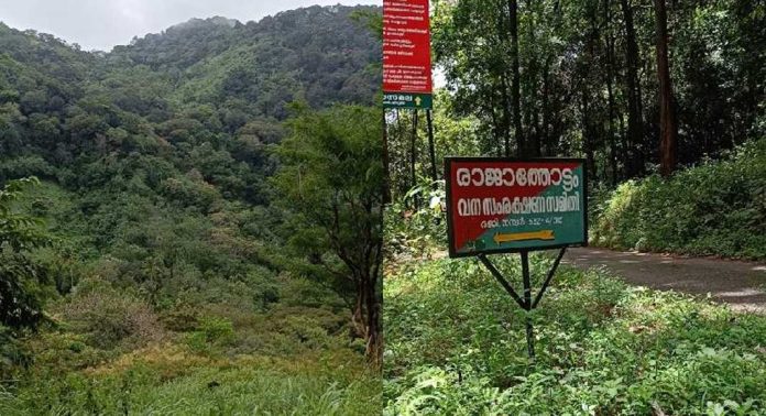 രാജാത്തോട്ടം വനത്തിൽ കുടുങ്ങിയ വിനോദയാത്ര സംഘത്തെ കണ്ടെത്തി രാജാത്തോട്ടം വനത്തിൽ കുടുങ്ങിയ വിനോദയാത്ര സംഘത്തെ കണ്ടെത്തി