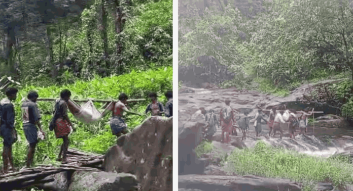 ഇടുക്കി ഇടമലക്കുടിയിൽ നിന്ന് വീണ്ടും രോഗിയെ വനത്തിലൂടെ ചുമന്ന് ആശുപത്രിയിലെത്തിച്ചു ഇടുക്കി ഇടമലക്കുടിയിൽ നിന്ന് വീണ്ടും രോഗിയെ വനത്തിലൂടെ ചുമന്ന് ആശുപത്രിയിലെത്തിച്ചു