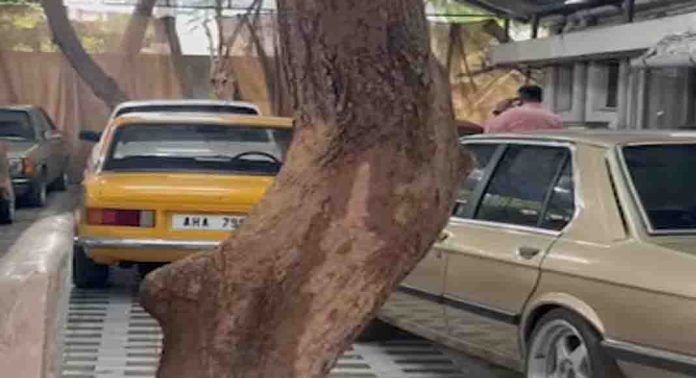 കസ്റ്റംസ് പിടിച്ചെടുത്ത ആഡംബരക്കാറുകൾ നിയമ നടപടികൾ തീരും വരെ ഉപയോഗിക്കാൻ അനുവദിക്കില്ല കസ്റ്റംസ് പിടിച്ചെടുത്ത ആഡംബരക്കാറുകൾ നിയമ നടപടികൾ തീരും വരെ ഉപയോഗിക്കാൻ അനുവദിക്കില്ല