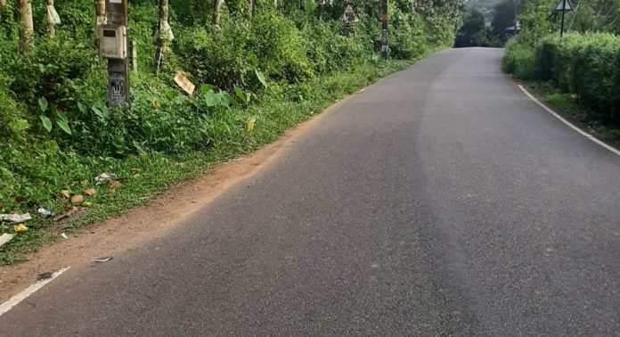 കോടികള് മുടക്കിയ ശബരിമല പാതയിലെ നടപ്പാതകള് കാടുമൂടി ഉപയോഗശൂന്യമായി കോടികള് മുടക്കിയ ശബരിമല പാതയിലെ നടപ്പാതകള് കാടുമൂടി ഉപയോഗശൂന്യമായി
