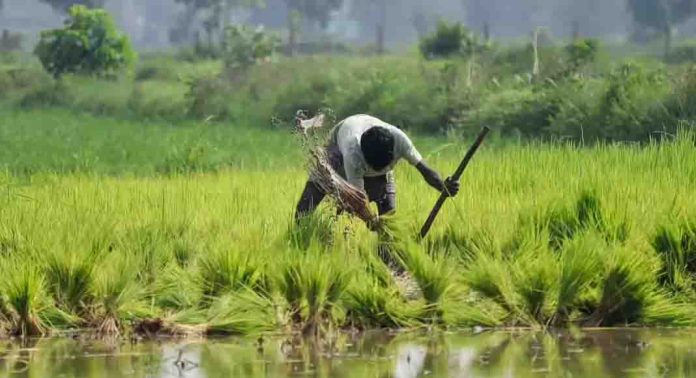 ഭൂനികുതി ഓൺലൈനായി സ്വീകരിക്കാത്തിനാൽ നിരാഹാര സമരം ആരംഭിച്ച് കൂരാച്ചുണ്ടിലെ കർഷകർ ഭൂനികുതി ഓൺലൈനായി സ്വീകരിക്കാത്തിനാൽ നിരാഹാര സമരം ആരംഭിച്ച് കൂരാച്ചുണ്ടിലെ കർഷകർ