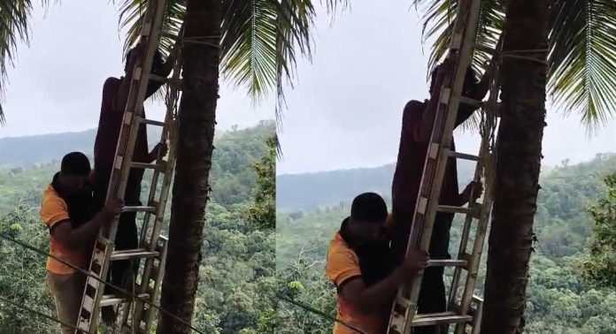 തെങ്ങിൽ കുടുങ്ങിയ യുവാവിനെ അഗ്നിശമനസേന രക്ഷപ്പെടുത്തി തെങ്ങിൽ കുടുങ്ങിയ യുവാവിനെ അഗ്നിശമനസേന രക്ഷപ്പെടുത്തി