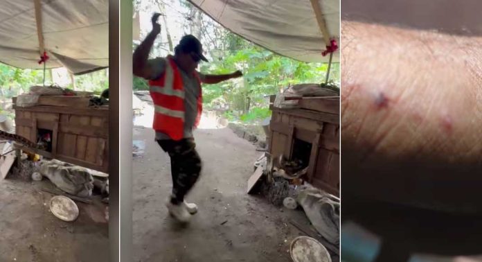മലപ്പുറത്ത് മലമ്പാമ്പിനെ പിടികൂടുന്നതിനിടെ സ്നേക്ക് മാസ്റ്റര്ക്ക് കടിയേറ്റു മലപ്പുറത്ത് മലമ്പാമ്പിനെ പിടികൂടുന്നതിനിടെ സ്നേക്ക് മാസ്റ്റര്ക്ക് കടിയേറ്റു