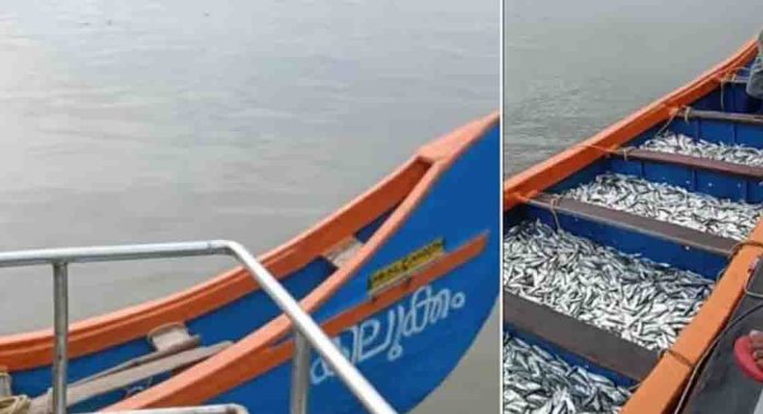 ചെറു മത്സ്യങ്ങളെ പിടിച്ചതിന് ബോട്ട് പിടിച്ചെടുത്തു ചെറു മത്സ്യങ്ങളെ പിടിച്ചതിന് ബോട്ട് പിടിച്ചെടുത്തു