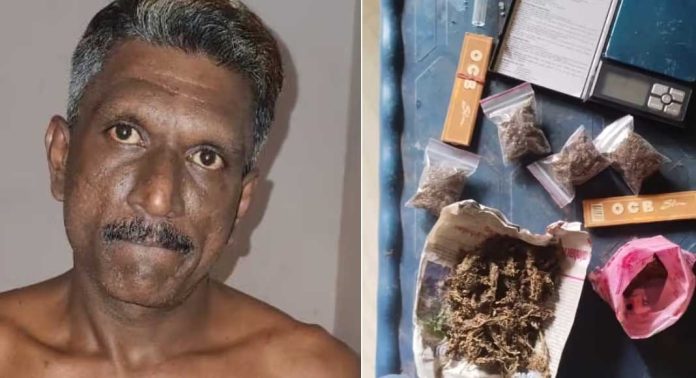 ഓട്ടോറിക്ഷയിൽ സഞ്ചരിച്ച് കഞ്ചാവ് വിപണനം നടത്തിയ ആൾ അറസ്റ്റിൽ ഓട്ടോറിക്ഷയിൽ സഞ്ചരിച്ച് കഞ്ചാവ് വിപണനം നടത്തിയ ആൾ അറസ്റ്റിൽ