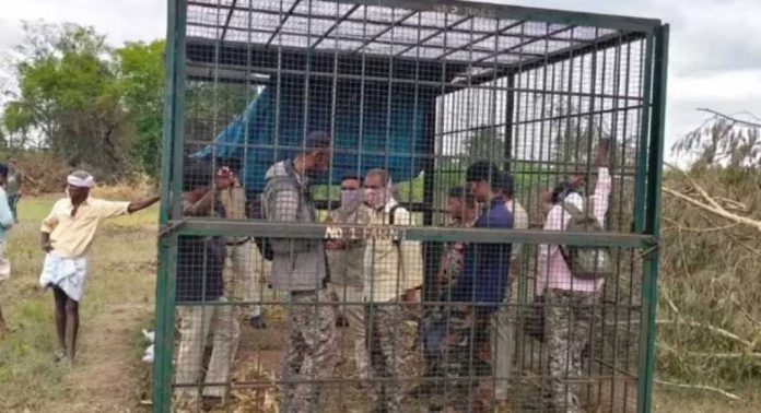 കടുവയെ പിടികൂടാനായി സ്ഥാപിച്ച കൂട്ടില് വനംവകുപ്പ് ഉദ്യോഗസ്ഥരെ പൂട്ടിയിട്ട് കര്ഷകര് കടുവയെ പിടികൂടാനായി സ്ഥാപിച്ച കൂട്ടില് വനംവകുപ്പ് ഉദ്യോഗസ്ഥരെ പൂട്ടിയിട്ട് കര്ഷകര്