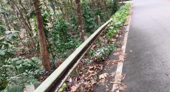 മുക്കട-ഇടമണ്-അത്തിക്കയം ശബരിമല പാതയിലെ ക്രാഷ് ബാരിയറിനും റോഡിനും ഇടയിലെ കിടങ്ങ് അപകട ഭീഷണി ഉയര്ത്തുന്നു മുക്കട-ഇടമണ്-അത്തിക്കയം ശബരിമല പാതയിലെ ക്രാഷ് ബാരിയറിനും റോഡിനും ഇടയിലെ കിടങ്ങ് അപകട ഭീഷണി ഉയര്ത്തുന്നു