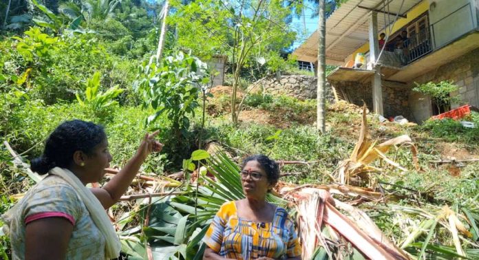 വീട്ടുമുറ്റത്ത് എത്തിയ കാട്ടാന സെപ്റ്റിക് ടാങ്കും കൃഷിയും തകർത്തു വീട്ടുമുറ്റത്ത് എത്തിയ കാട്ടാന സെപ്റ്റിക് ടാങ്കും കൃഷിയും തകർത്തു