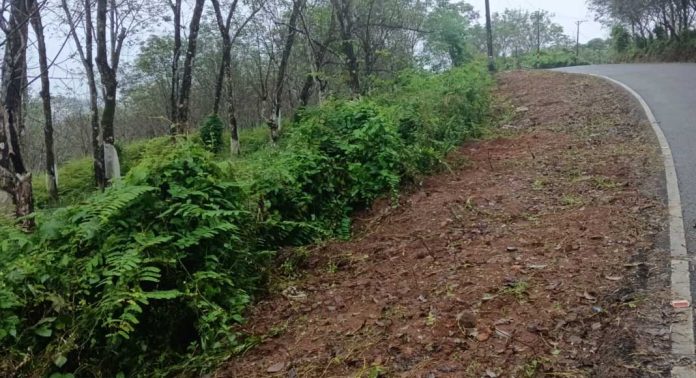 ശബരിമല തീര്ത്ഥാടന മുന്നൊരുക്കത്തിന്റെ ഭാഗമായി പാതകളിലെ കാടുകള് തെളിച്ചു വൃത്തിയാക്കി ശബരിമല തീര്ത്ഥാടന മുന്നൊരുക്കത്തിന്റെ ഭാഗമായി പാതകളിലെ കാടുകള് തെളിച്ചു വൃത്തിയാക്കി