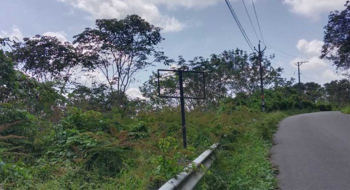 ശബരിമല പാതയിലെ പ്രധാന സ്ഥലങ്ങളില് ദിശാബോര്ഡുകള് സ്ഥാപിക്കാന് തയ്യാറാകണമെന്ന് ആവിശ്യം ശബരിമല പാതയിലെ പ്രധാന സ്ഥലങ്ങളില് ദിശാബോര്ഡുകള് സ്ഥാപിക്കാന് തയ്യാറാകണമെന്ന് ആവിശ്യം