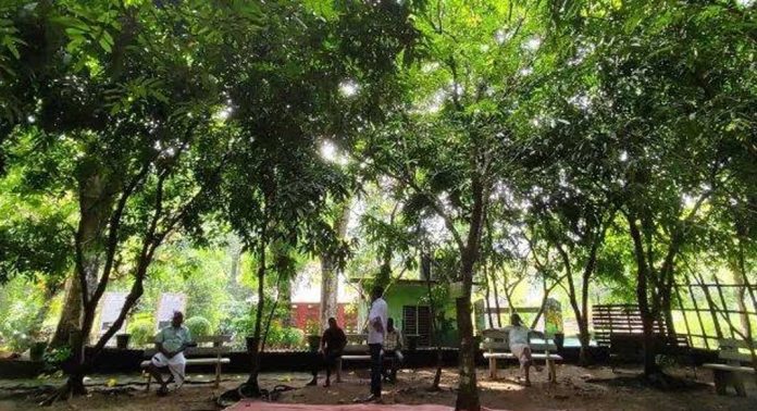 കൂടിചേരലുകൾക്കും വിശ്രമത്തിനും ഇടമൊരുക്കി ആനത്താവളത്തിലെ അശോകവനം കൂടിചേരലുകൾക്കും വിശ്രമത്തിനും ഇടമൊരുക്കി ആനത്താവളത്തിലെ അശോകവനം