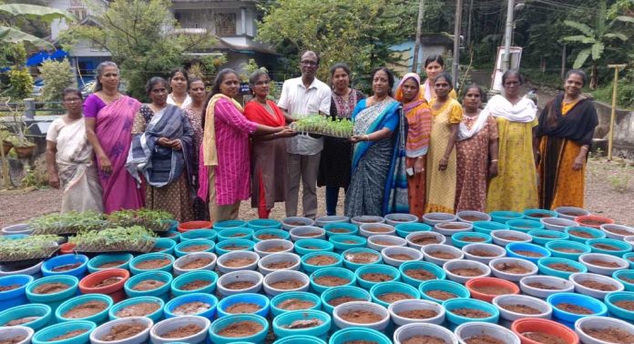 പച്ചക്കറി തൈകളുടെയും ഗ്രോ ബാഗിന്റെയും വിതരണം നടത്തി പച്ചക്കറി തൈകളുടെയും ഗ്രോ ബാഗിന്റെയും വിതരണം നടത്തി
