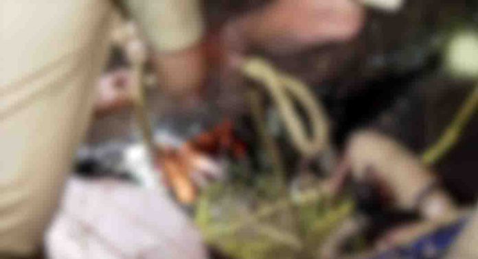 കട്ടപ്പനയിലെ മാലിന്യ ടാങ്ക് അപകടം : കളക്ടർ സർക്കാരിന് റിപ്പോർട്ട് സമർപ്പിച്ചു കട്ടപ്പനയിലെ മാലിന്യ ടാങ്ക് അപകടം : കളക്ടർ സർക്കാരിന് റിപ്പോർട്ട് സമർപ്പിച്ചു