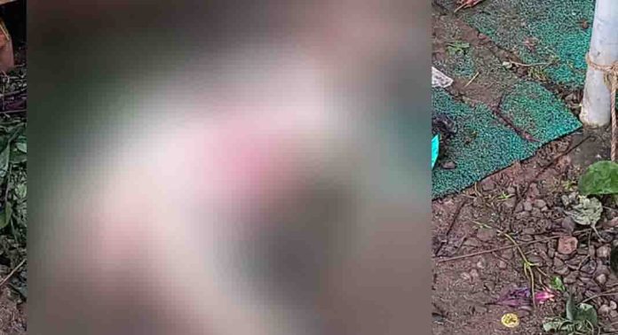 പത്തനംതിട്ടയിൽ ആട്ടിന് കുട്ടികളെ അജ്ഞാതജീവി ആക്രമിച്ച് കൊന്നു പത്തനംതിട്ടയിൽ ആട്ടിന് കുട്ടികളെ അജ്ഞാതജീവി ആക്രമിച്ച് കൊന്നു