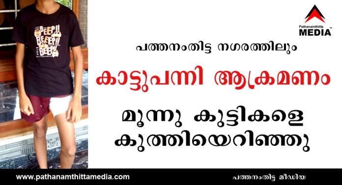 പത്തനംതിട്ട നഗരത്തിലും കാട്ടുപന്നി ആക്രമണം : വീട്ടു മുറ്റത്ത് നിന്ന മൂന്നു കുട്ടികളെ കുത്തിയെറിഞ്ഞു പത്തനംതിട്ട നഗരത്തിലും കാട്ടുപന്നി ആക്രമണം : വീട്ടു മുറ്റത്ത് നിന്ന മൂന്നു കുട്ടികളെ കുത്തിയെറിഞ്ഞു