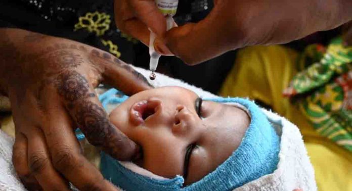 ഇന്നാണ് പോളിയോ തുള്ളിമരുന്ന് വിതരണം ഇന്നാണ് പോളിയോ തുള്ളിമരുന്ന് വിതരണം