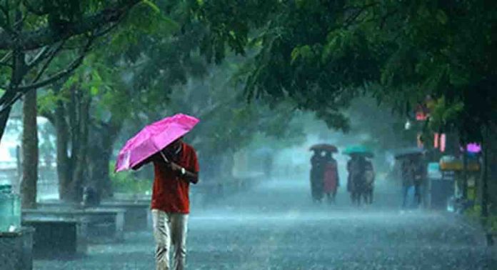 അടുത്ത മൂന്ന് മണിക്കൂറിൽ പ്രതീക്ഷിക്കാവുന്ന ദിനാന്തരീക്ഷാവസ്ഥ കാലാവസ്ഥ വകുപ്പ് പുറത്തുവിട്ടു അടുത്ത മൂന്ന് മണിക്കൂറിൽ പ്രതീക്ഷിക്കാവുന്ന ദിനാന്തരീക്ഷാവസ്ഥ കാലാവസ്ഥ വകുപ്പ് പുറത്തുവിട്ടു
