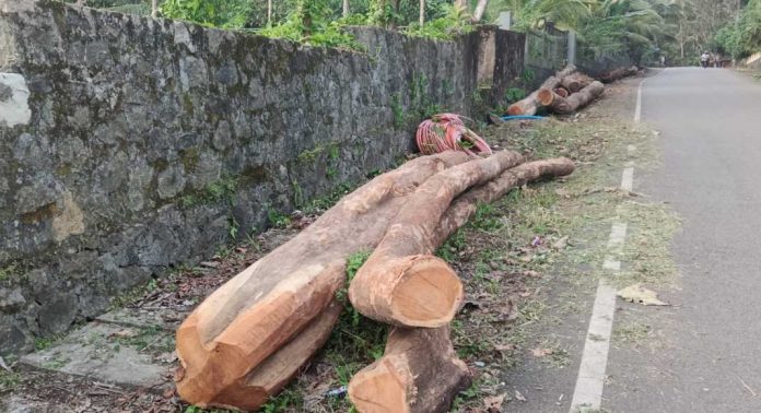 റോഡിൽ തടികൾ കൂട്ടിയിട്ടിരിക്കുന്നത് അപകട ഭീഷണി ഉയർത്തുന്നു റോഡിൽ തടികൾ കൂട്ടിയിട്ടിരിക്കുന്നത് അപകട ഭീഷണി ഉയർത്തുന്നു