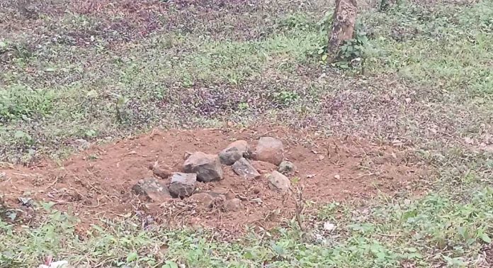 മുക്കട – ഇടമണ് – അത്തിക്കയം എംഎല്എ റോഡില് പശുവിന്റെ ജഢം തള്ളി മുക്കട – ഇടമണ് – അത്തിക്കയം എംഎല്എ റോഡില് പശുവിന്റെ ജഢം തള്ളി