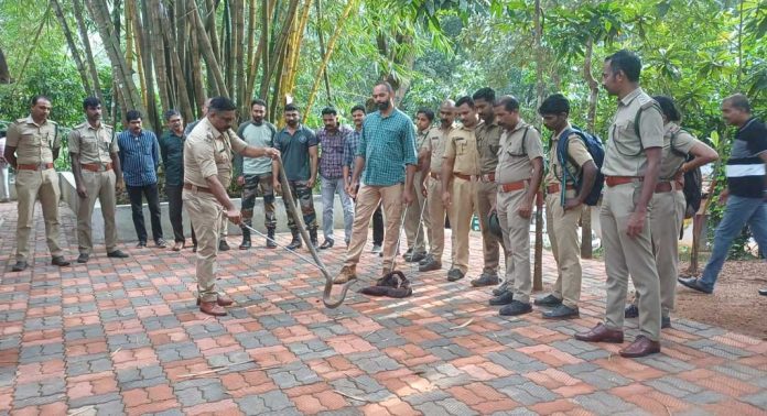 സോഷ്യൽ ഫോറസ്ട്രീ പത്തനംതിട്ട ഡിവിഷന്റെ ആഭിമുഖ്യത്തിൽ സർപ്പ വോളണ്ടിയർമാർക്ക് പരിശീലനവും ലൈസൻസ് പുതുക്കി നൽകലും നടത്തി സോഷ്യൽ ഫോറസ്ട്രീ പത്തനംതിട്ട ഡിവിഷന്റെ ആഭിമുഖ്യത്തിൽ സർപ്പ വോളണ്ടിയർമാർക്ക് പരിശീലനവും ലൈസൻസ് പുതുക്കി നൽകലും നടത്തി
