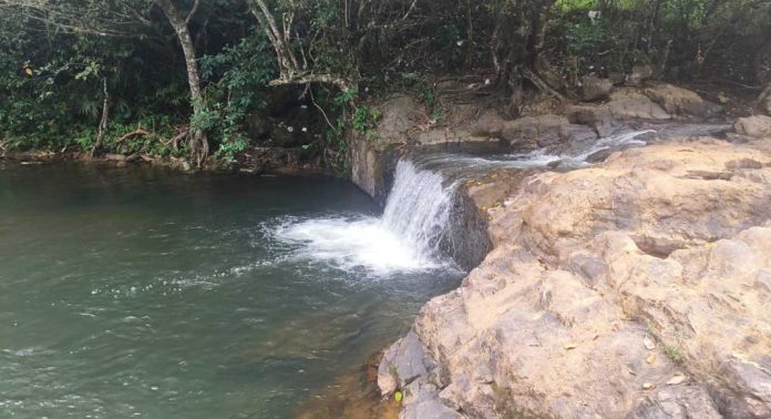 സൂക്ഷിക്കുക ഈ നിശബ്ദ കൊലയാളിയെ സൂക്ഷിക്കുക ഈ നിശബ്ദ കൊലയാളിയെ