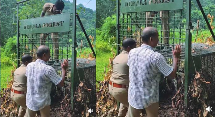 വടശ്ശേരിക്കര കുംബ്ലാത്താമണ്ണിൽ വീണ്ടും കടുവ എത്തി വടശ്ശേരിക്കര കുംബ്ലാത്താമണ്ണിൽ വീണ്ടും കടുവ എത്തി