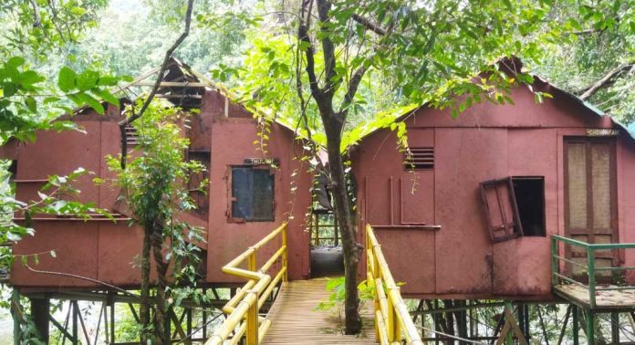 അടവിയിലെ മുളങ്കുടിലുകൾ നാശത്തിന്റെ വക്കിൽ ; നന്നാക്കേണ്ടത് ബാംബു കോർപറേഷൻ എന്ന് വനം വകുപ്പ് അടവിയിലെ മുളങ്കുടിലുകൾ നാശത്തിന്റെ വക്കിൽ ; നന്നാക്കേണ്ടത് ബാംബു കോർപറേഷൻ എന്ന് വനം വകുപ്പ്