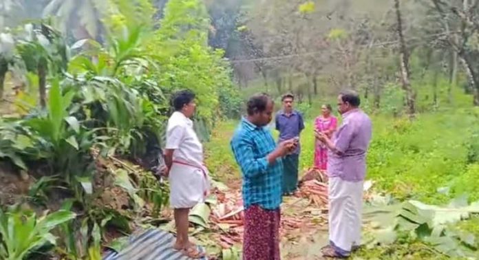 പെരുനാട്ടിൽ ജനവാസ മേഖലകളില് ഇറങ്ങി കാട്ടാന കൃഷി നശിപ്പിക്കുന്നത് പതിവാകുന്നു പെരുനാട്ടിൽ ജനവാസ മേഖലകളില് ഇറങ്ങി കാട്ടാന കൃഷി നശിപ്പിക്കുന്നത് പതിവാകുന്നു