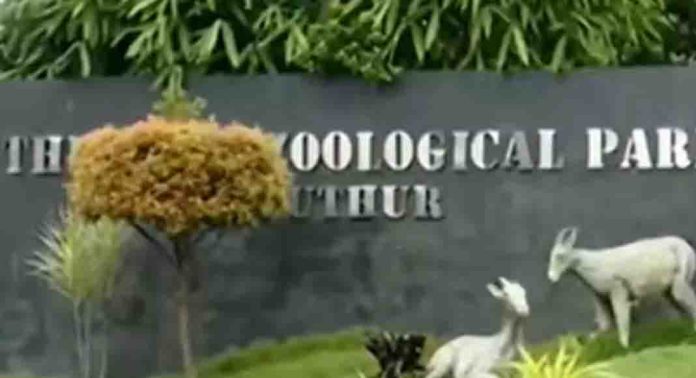 സുവോളജിക്കല് പാര്ക്കിൽ മാനുകൾ ചത്ത സംഭവം : വാതിൽ തുറന്നിട്ടോ എന്ന് പരിശോധിക്കും സുവോളജിക്കല് പാര്ക്കിൽ മാനുകൾ ചത്ത സംഭവം : വാതിൽ തുറന്നിട്ടോ എന്ന് പരിശോധിക്കും