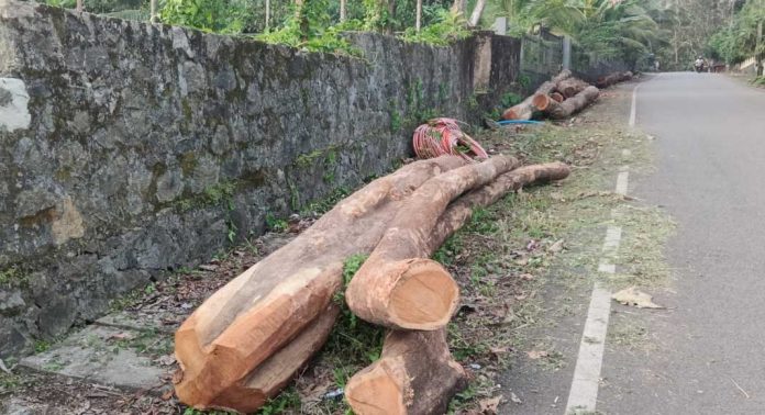 പൊതുമരാമത്ത് വകുപ്പ് റോഡുകളിൽ അനധികൃതമായി തടികൾ ഇറക്കി ഡിപ്പോയാക്കി മാറ്റുന്നതായി പരാതി പൊതുമരാമത്ത് വകുപ്പ് റോഡുകളിൽ അനധികൃതമായി തടികൾ ഇറക്കി ഡിപ്പോയാക്കി മാറ്റുന്നതായി പരാതി