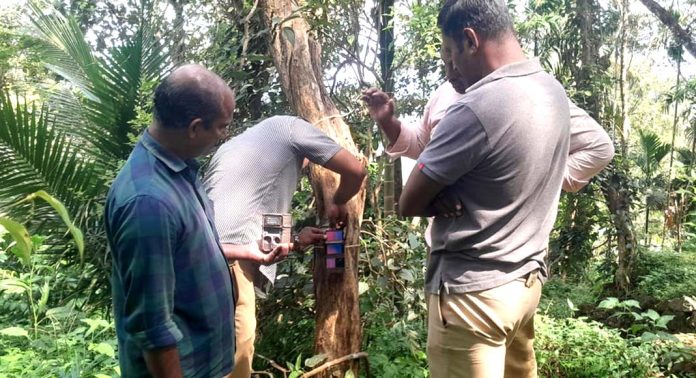 കോന്നി ആവോലിക്കുഴിയിൽ വനം വകുപ്പ് നിരീക്ഷണ ക്യാമറ സ്ഥാപിച്ചു കോന്നി ആവോലിക്കുഴിയിൽ വനം വകുപ്പ് നിരീക്ഷണ ക്യാമറ സ്ഥാപിച്ചു