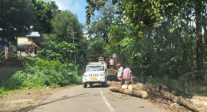 ഇട റോഡുകൾ തടി ഡിപ്പോകളാക്കി മാറ്റി വ്യാപാരികള് ഇട റോഡുകൾ തടി ഡിപ്പോകളാക്കി മാറ്റി വ്യാപാരികള്