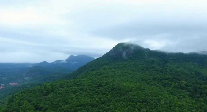 ബോണക്കാട് വനത്തിൽ കാണാതായ ഫോറസ്റ്റ് ഉദ്യോഗസ്ഥരെ കണ്ടെത്തി ബോണക്കാട് വനത്തിൽ കാണാതായ ഫോറസ്റ്റ് ഉദ്യോഗസ്ഥരെ കണ്ടെത്തി