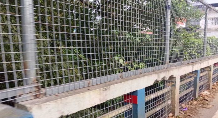 റാന്നി വലിയതോട്ടിലേക്ക് മാലിന്യം വഴിച്ചെറിയുന്നത് തടയാൻ ഇരുമ്പ് വല സ്ഥാപിച്ചു റാന്നി വലിയതോട്ടിലേക്ക് മാലിന്യം വഴിച്ചെറിയുന്നത് തടയാൻ ഇരുമ്പ് വല സ്ഥാപിച്ചു