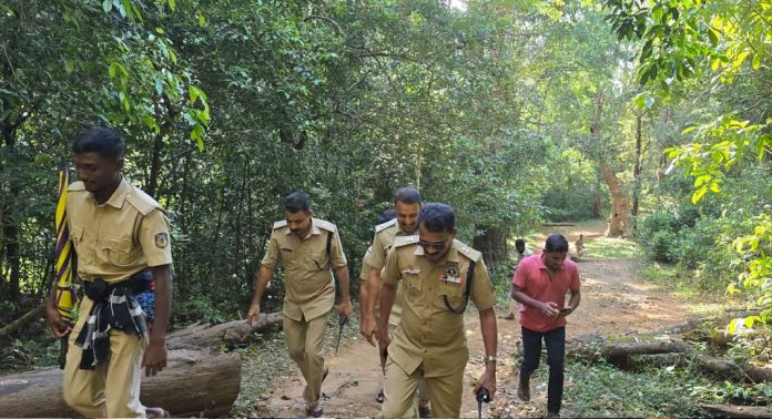 കാനനപാതയിലൂടെയെത്തുന്ന ഭക്തരുടെ സുരക്ഷ ഉറപ്പാക്കാന് സംയുക്ത പരിശോധന കാനനപാതയിലൂടെയെത്തുന്ന ഭക്തരുടെ സുരക്ഷ ഉറപ്പാക്കാന് സംയുക്ത പരിശോധന