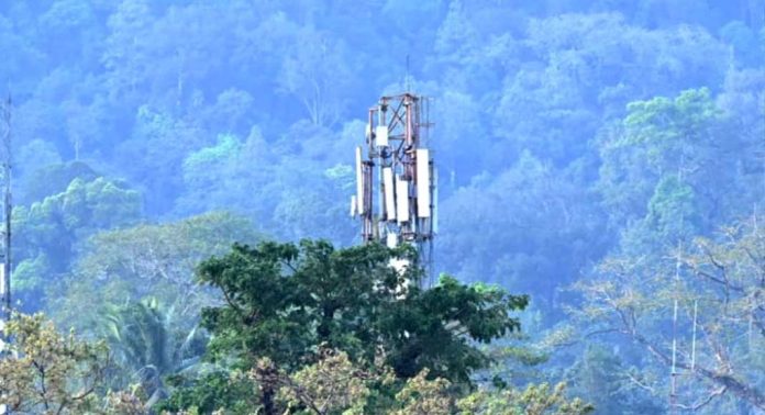മകരവിളക്കിന് പുൽമേട്ടിൽ ബിഎസ്എൻഎൽ താൽക്കാലിക ടവർ സ്ഥാപിക്കും മകരവിളക്കിന് പുൽമേട്ടിൽ ബിഎസ്എൻഎൽ താൽക്കാലിക ടവർ സ്ഥാപിക്കും
