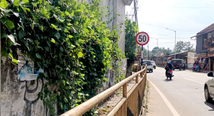 റാന്നിയില് കാടുകയറി നടപ്പാതകള് – യാത്രക്കാരിയുടെ ദേഹത്തേക്ക് പാമ്പ് ചാടി റാന്നിയില് കാടുകയറി നടപ്പാതകള് – യാത്രക്കാരിയുടെ ദേഹത്തേക്ക് പാമ്പ് ചാടി