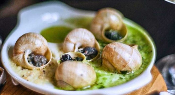 ഫാമിൽ നിന്ന് 93.6 ലക്ഷം രൂപ വില വരുന്ന ഒച്ചുകൾ മോഷണം പോയി ഫാമിൽ നിന്ന് 93.6 ലക്ഷം രൂപ വില വരുന്ന ഒച്ചുകൾ മോഷണം പോയി