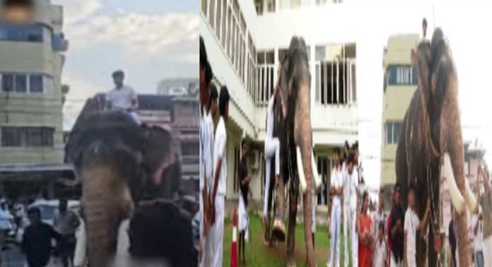 സ്കൂളിലെ പെറ്റ് ഷോയുമായി ബന്ധപ്പെട്ട് സ്കൂളിൽ നിന്ന് റിപ്പോർട്ട് തേടി വനം വകുപ്പ് സ്കൂളിലെ പെറ്റ് ഷോയുമായി ബന്ധപ്പെട്ട് സ്കൂളിൽ നിന്ന് റിപ്പോർട്ട് തേടി വനം വകുപ്പ്