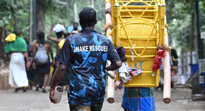 ശബരിമലയിൽ 22 ദിവസത്തിനിടെ പിടികൂടിയത് 95 പാമ്പുകളെ ; ഭയപ്പെടേണ്ട സാഹചര്യമില്ലെന്ന് വനംവകുപ്പ് ശബരിമലയിൽ 22 ദിവസത്തിനിടെ പിടികൂടിയത് 95 പാമ്പുകളെ ; ഭയപ്പെടേണ്ട സാഹചര്യമില്ലെന്ന് വനംവകുപ്പ്