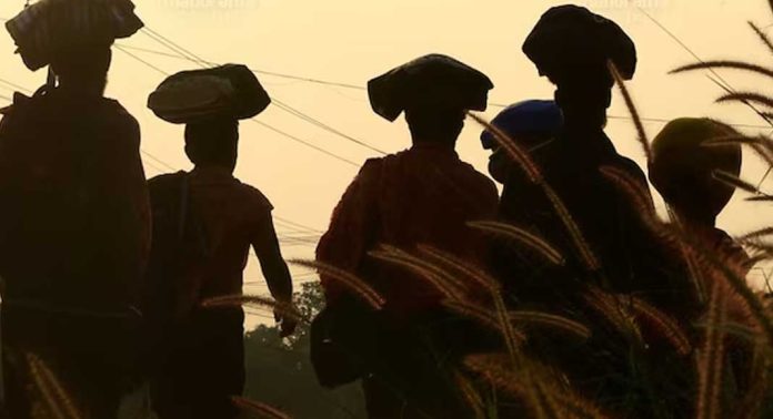 ശബരിമല തീര്ത്ഥാടകര് വഴിതെറ്റി വനത്തിനുള്ളില് കുടുങ്ങി ശബരിമല തീര്ത്ഥാടകര് വഴിതെറ്റി വനത്തിനുള്ളില് കുടുങ്ങി