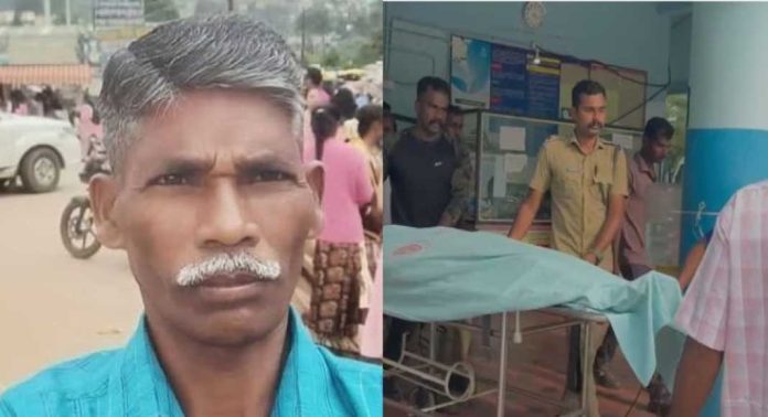 കടുവ സെന്സസിനിടെ കാട്ടാനയുടെ ആക്രമണത്തില് കൊല്ലപ്പെട്ട കാളിമുത്തുവിന്റെ മകന് ജോലി നല്കുമെന്ന് വനംവകുപ്പ് കടുവ സെന്സസിനിടെ കാട്ടാനയുടെ ആക്രമണത്തില് കൊല്ലപ്പെട്ട കാളിമുത്തുവിന്റെ മകന് ജോലി നല്കുമെന്ന് വനംവകുപ്പ്
