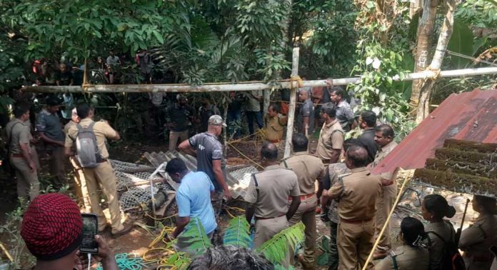 ചിറ്റാറിൽ കിണറ്റിൽ വീണ കടുവയെ പതിനാല് മണിക്കൂർ നീണ്ട പരിശ്രമത്തിന് ഒടുവിൽ കരയ്ക്ക് കയറ്റി ചിറ്റാറിൽ കിണറ്റിൽ വീണ കടുവയെ പതിനാല് മണിക്കൂർ നീണ്ട പരിശ്രമത്തിന് ഒടുവിൽ കരയ്ക്ക് കയറ്റി