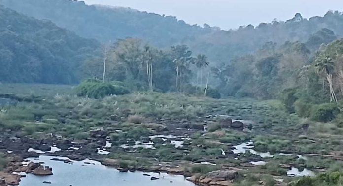 മധ്യതിരുവിതാംകൂറിന്റെ ജീവനാഡിയായ പമ്പാനദി കടുത്ത പ്രതിസന്ധിയിലേക്ക് മധ്യതിരുവിതാംകൂറിന്റെ ജീവനാഡിയായ പമ്പാനദി കടുത്ത പ്രതിസന്ധിയിലേക്ക്