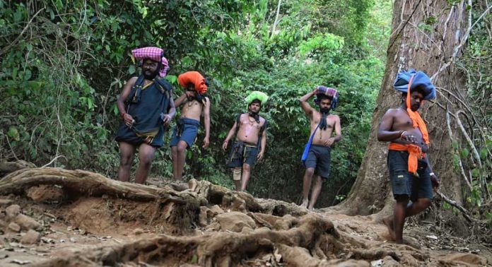 ശബരിമല മകരവിളക്ക് : തിരുവാഭരണഘോഷയാത്രയ്ക്കായി കാനനപാത സുരക്ഷിതമാക്കി വനം വകുപ്പ് ശബരിമല മകരവിളക്ക് : തിരുവാഭരണഘോഷയാത്രയ്ക്കായി കാനനപാത സുരക്ഷിതമാക്കി വനം വകുപ്പ്