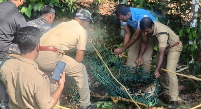തണ്ണിത്തോട്ടില് കിണറ്റില് വീണ മ്ലാവിനെ രക്ഷപെടുത്തി തണ്ണിത്തോട്ടില് കിണറ്റില് വീണ മ്ലാവിനെ രക്ഷപെടുത്തി