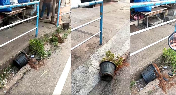 പത്തനംതിട്ട നഗരത്തില് സാമൂഹ്യവിരുദ്ധരുടെ അഴിഞ്ഞാട്ടം ; നഗരസഭ സ്ഥാപിച്ച ചെടികള് വ്യാപകമായി നശിപ്പിച്ചു പത്തനംതിട്ട നഗരത്തില് സാമൂഹ്യവിരുദ്ധരുടെ അഴിഞ്ഞാട്ടം ; നഗരസഭ സ്ഥാപിച്ച ചെടികള് വ്യാപകമായി നശിപ്പിച്ചു